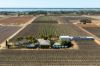 229 Morgan Road, Cobdogla SA 5346-Image