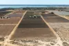 229 Morgan Road, Cobdogla SA 5346-Image