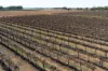 229 Morgan Road, Cobdogla SA 5346-Image