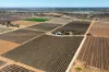 229 Morgan Road, Cobdogla SA 5346-Image