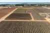 229 Morgan Road, Cobdogla SA 5346-Image