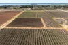 229 Morgan Road, Cobdogla SA 5346-Image