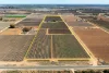 229 Morgan Road, Cobdogla SA 5346-Image