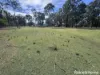 229 Nanango Brooklands Road, Nanango, Qld 4615-Image