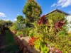 23 Ellwood Close, Atherton QLD 4883-Image