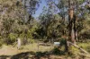 23 Uffington Road, Duns Creek NSW 2321-Image