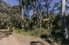 23 Uffington Road, Duns Creek NSW 2321-Image