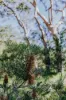 23 Uffington Road, Duns Creek NSW 2321-Image