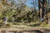 23 Uffington Road, Duns Creek NSW 2321-Image