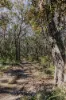 23 Uffington Road, Duns Creek NSW 2321-Image