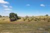 230 Cockerills Road, Dreeite VIC 3249-Image