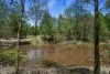 2306 Gatton Esk Road, Buaraba, Qld 4311-Image
