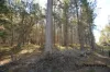 231, Central Road, Sugarloaf, Qld 4380-Image