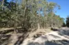 231, Central Road, Sugarloaf, Qld 4380-Image
