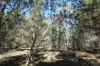 231, Central Road, Sugarloaf, Qld 4380-Image