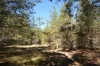 231, Central Road, Sugarloaf, Qld 4380-Image