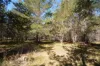 231, Central Road, Sugarloaf, Qld 4380-Image
