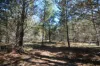 231, Central Road, Sugarloaf, Qld 4380-Image