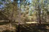 231, Central Road, Sugarloaf, Qld 4380-Image