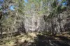 231, Central Road, Sugarloaf, Qld 4380-Image