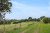 231 Settlement Road, Flowery Gully, Tas 7270-Image