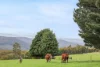 231 Settlement Road, Flowery Gully, Tas 7270-Image