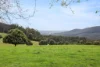 231 Settlement Road, Flowery Gully, Tas 7270-Image