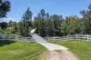 2324 Armidale Road, Blaxlands Creek, NSW 2460-Image