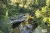 2324B Armidale Road, Blaxlands Creek, NSW 2460-Image