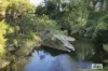 2324B Armidale Road, Blaxlands Creek, NSW 2460-Image