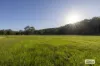2324B Armidale Road, Blaxlands Creek, NSW 2460-Image