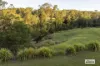 2324B Armidale Road, Blaxlands Creek, NSW 2460-Image