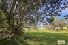 2324B Armidale Road, Blaxlands Creek, NSW 2460-Image