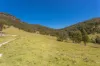 233 Thunderbolts Way, Gloucester NSW 2422-Image