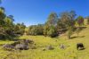 233 Thunderbolts Way, Gloucester NSW 2422-Image