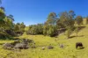 233 Thunderbolts Way, Gloucester NSW 2422-Image