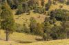 233 Thunderbolts Way, Gloucester NSW 2422-Image
