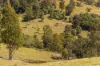 233 Thunderbolts Way, Gloucester NSW 2422-Image