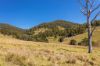 233 Thunderbolts Way, Gloucester NSW 2422-Image