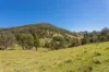 233 Thunderbolts Way, Gloucester NSW 2422-Image