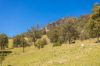 233 Thunderbolts Way, Gloucester NSW 2422-Image