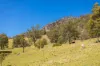233 Thunderbolts Way, Gloucester NSW 2422-Image