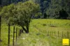235 Beaumonts Road, Dorrigo NSW 2453-Image