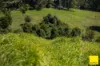 235 Beaumonts Road, Dorrigo NSW 2453-Image