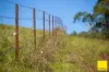 235 Beaumonts Road, Dorrigo NSW 2453-Image