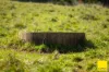 235 Beaumonts Road, Dorrigo NSW 2453-Image