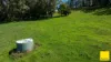 235 Beaumonts Road, Dorrigo NSW 2453-Image