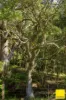 235 Beaumonts Road, Dorrigo NSW 2453-Image