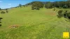 235 Beaumonts Road, Dorrigo NSW 2453-Image