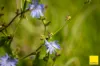 235 Beaumonts Road, Dorrigo NSW 2453-Image